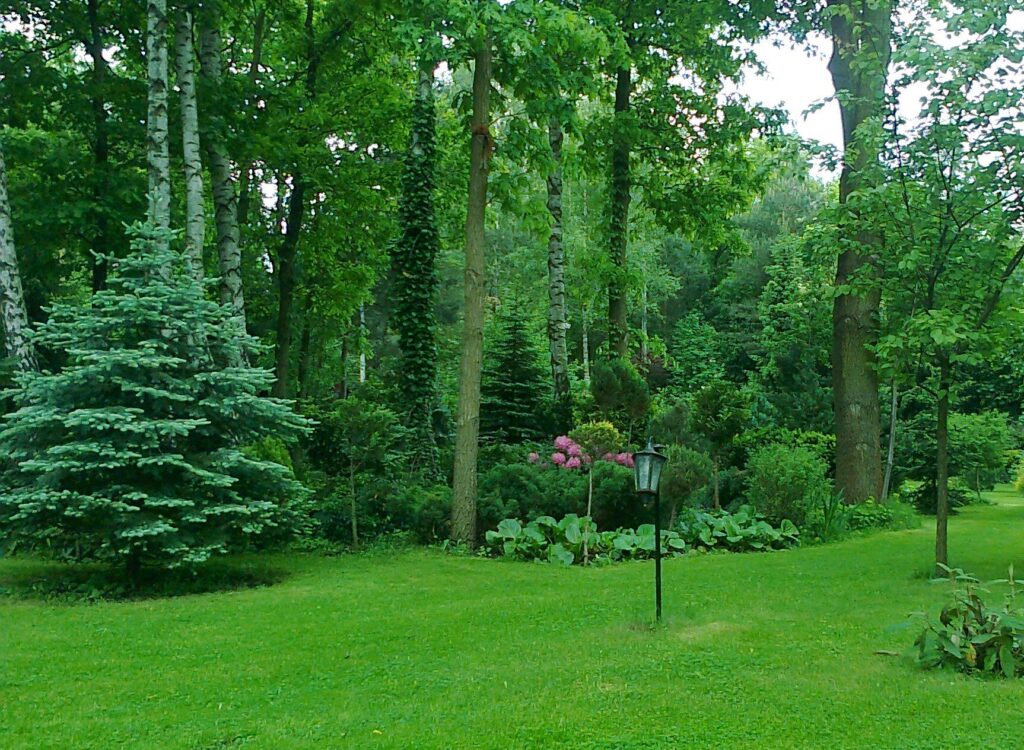 Chabrówka - Warszawa