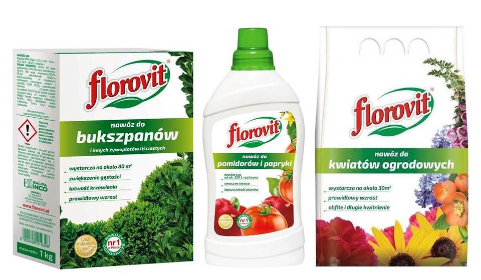 aktualnosc42