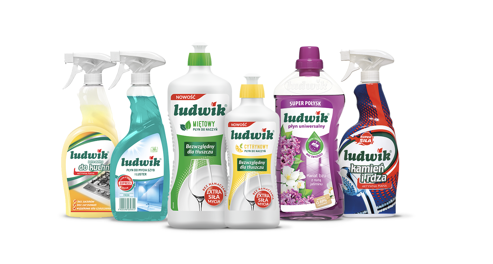 Ludwik Maxx Power awards (Perła Rynku, Produkt Innowacyjny, Laur Konsumenta) and GRUPA INCO S.A. products