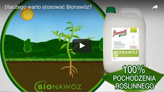 bionawoz