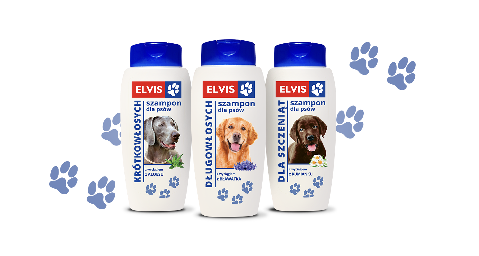 Szczeniak golden retriever i szampon Elvis dla psów - kosmetyki GRUPA INCO S.A.