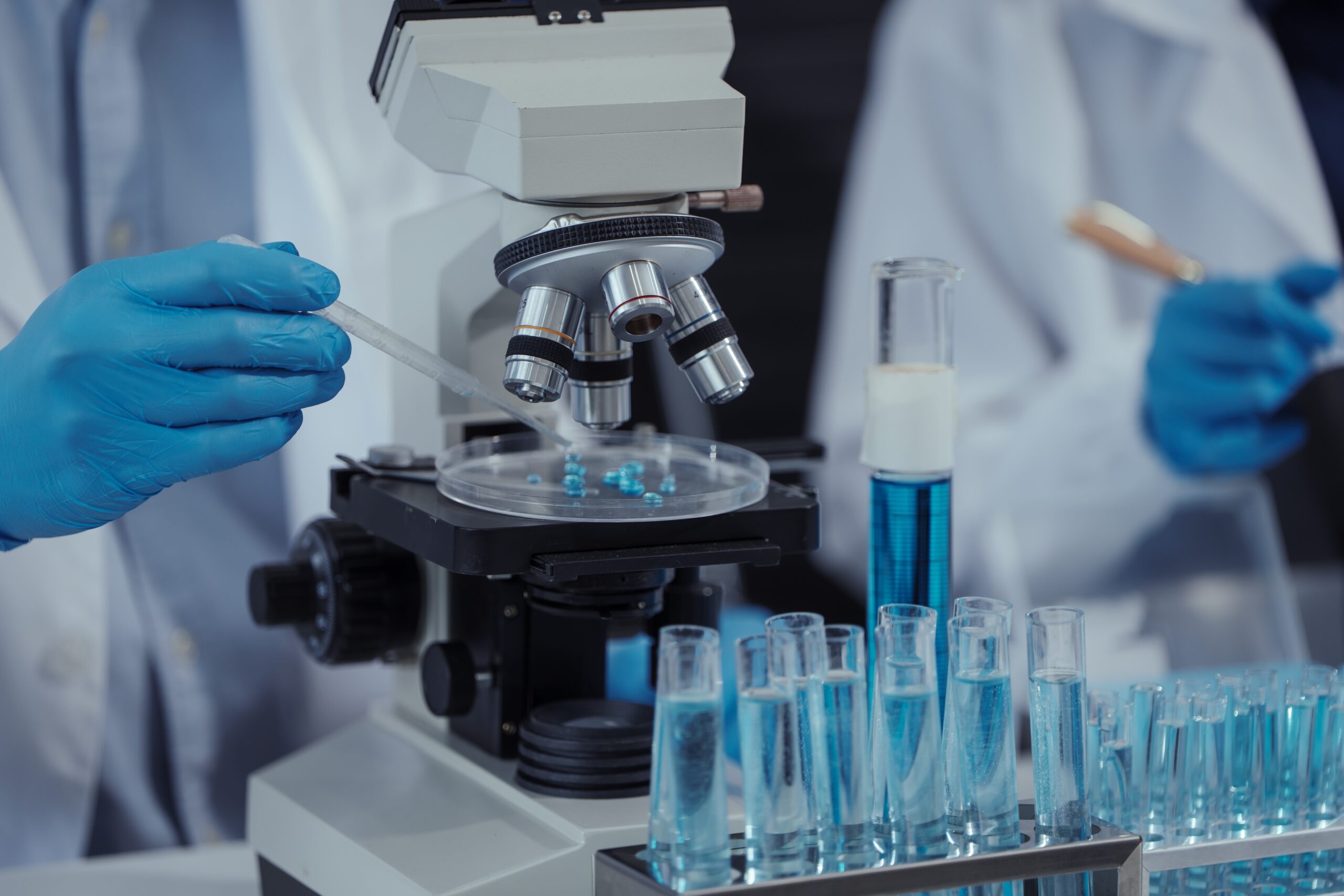 Innovation and development at GRUPA INCO S.A.: modern formulations and technologies