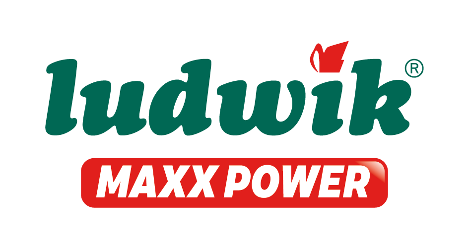 Ludwik Maxx Power